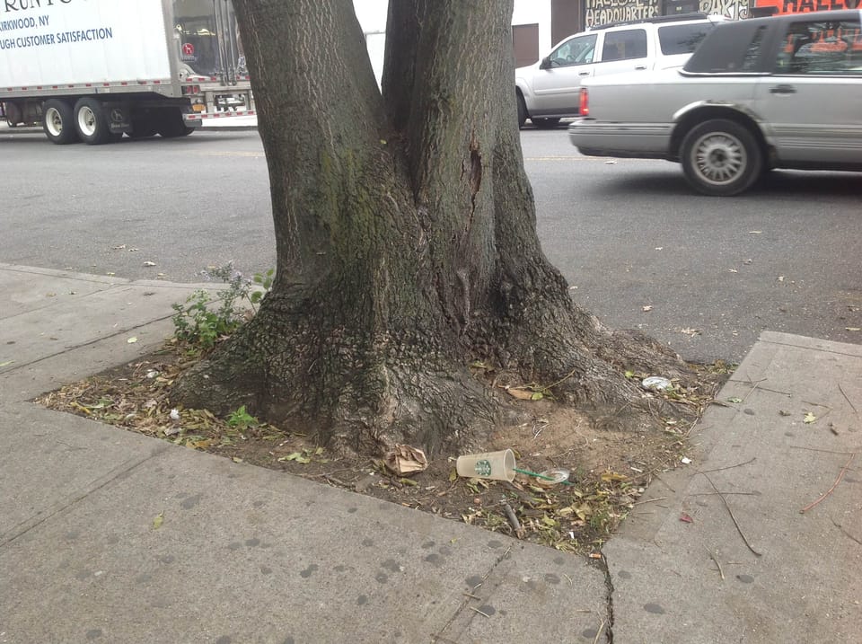 Help The Parks Department Count All The Trees In New York City