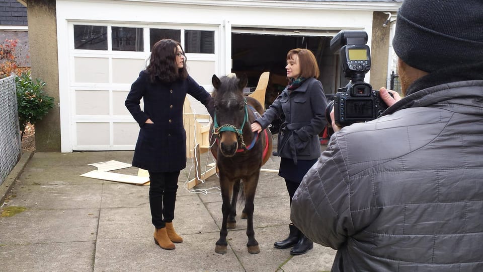 Kensington Stables’ Fudge The Horse Stars In Saturday Night Live