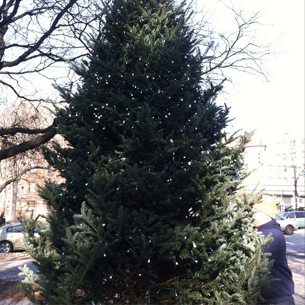 Join Sunday’s Fort Greene Park Tree Lighting Ceremony