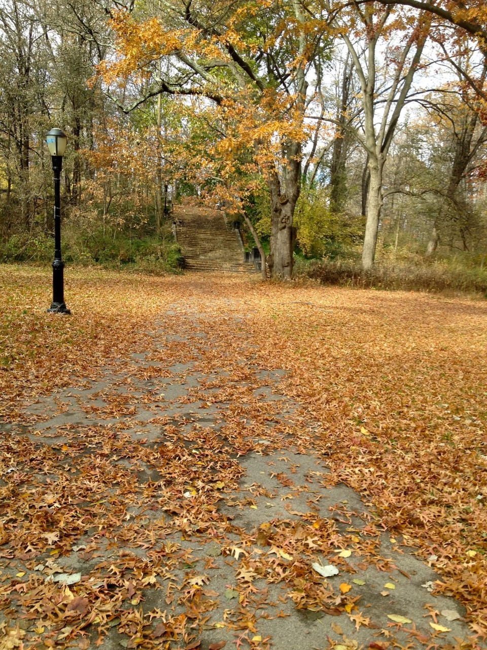 Photo Of The Day: A Walk In The Park