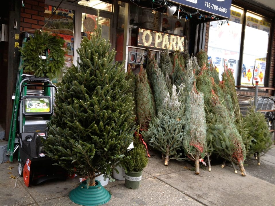 Where To Find A Christmas Tree In South Slope