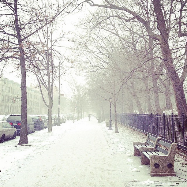 Blizzard Watch: All Subway & Bus Lines Will Be Shut Down, Schools Closed Tuesday & More To Know During The Storm