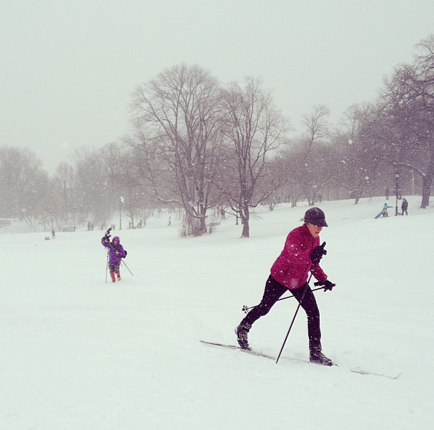 Juno Who? Blizzard Warning Dropped, Travel Ban Lifted, Alternate Side Parking Suspended & More To Know