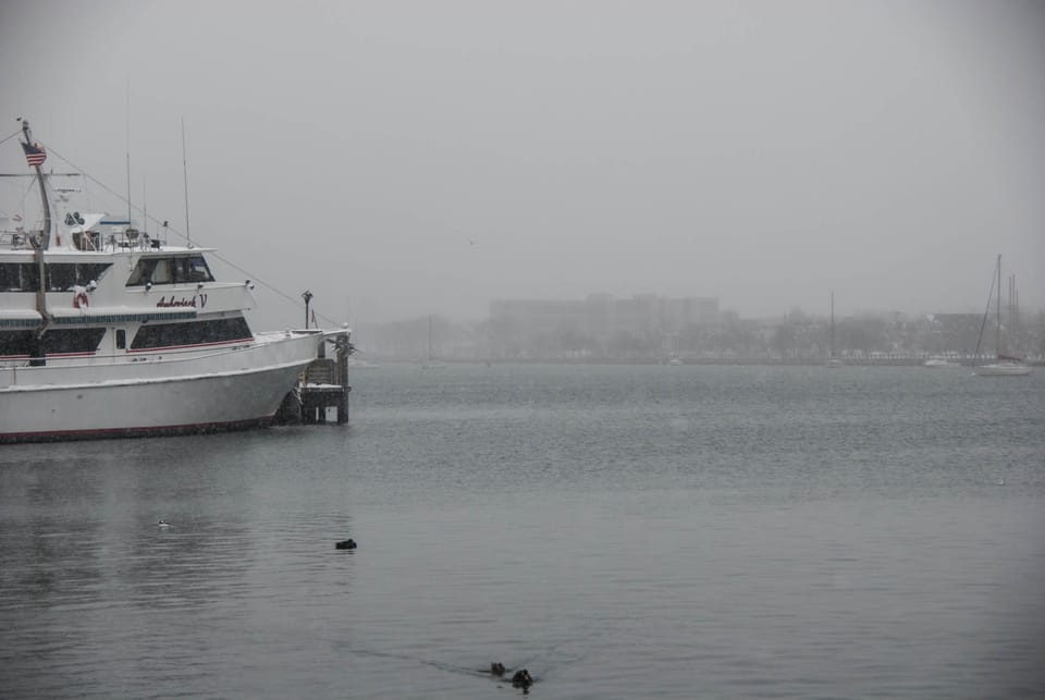 Sheepshead Bay Booze Cruise Critics Dispute Racism Claims, Proposed Ban Gains Senate Sponsor