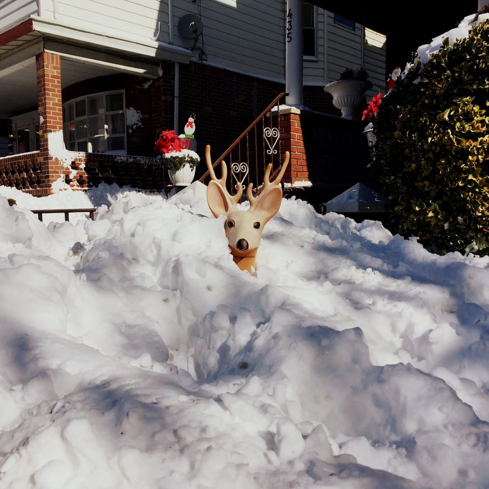 Photo Wrap: Digging Out