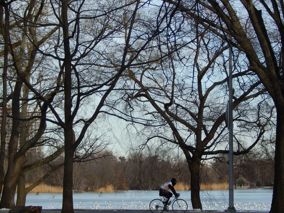 Things To Do In Prospect Park This February