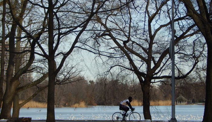 Meet The Prospect Park Alliance’s New President & Hear Her Vision For The Park Tomorrow, February 18