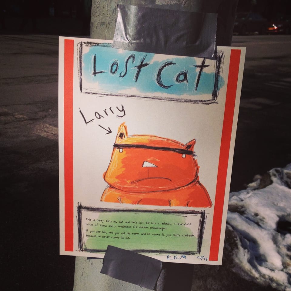 Photo Of The Day: “Lost Cat”