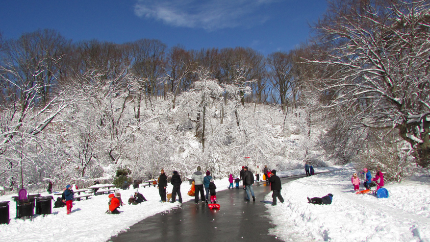 Things To Do In Prospect Park In February