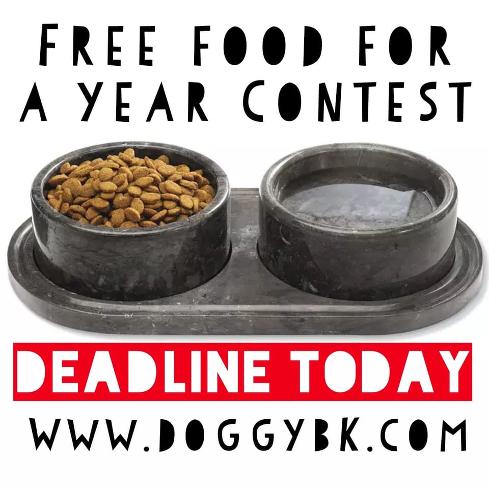 Brag About Your Pet For A Chance To Win Free Pet Food For A Year