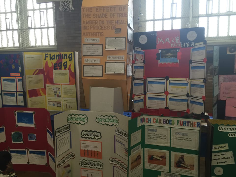 Alfred De B. Mason School Holds Annual Science Expo