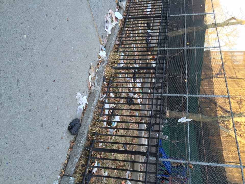 A Mess Outside PS 139