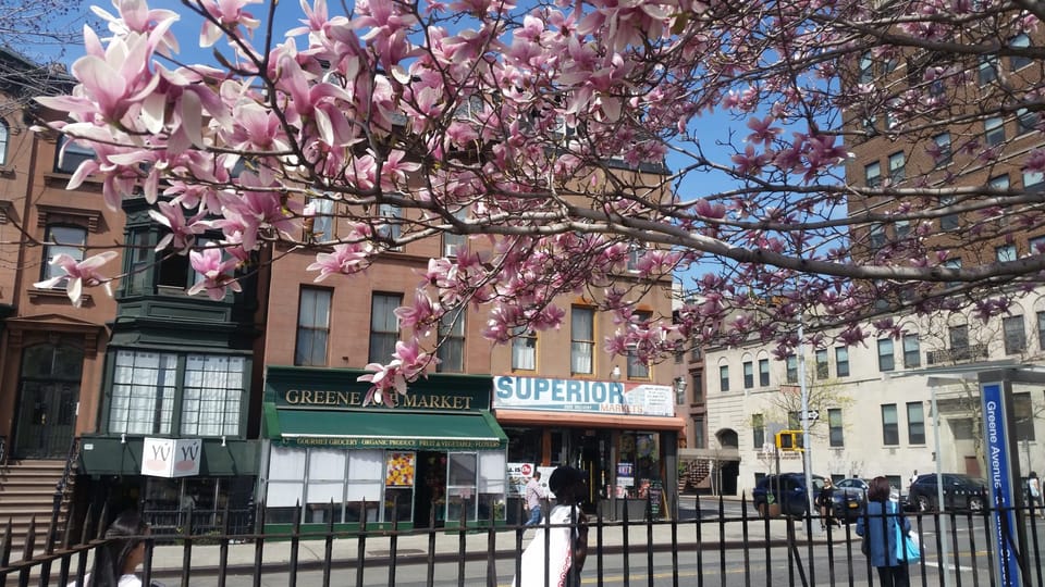 Brooklyn Staycation: A Day In Fort Greene