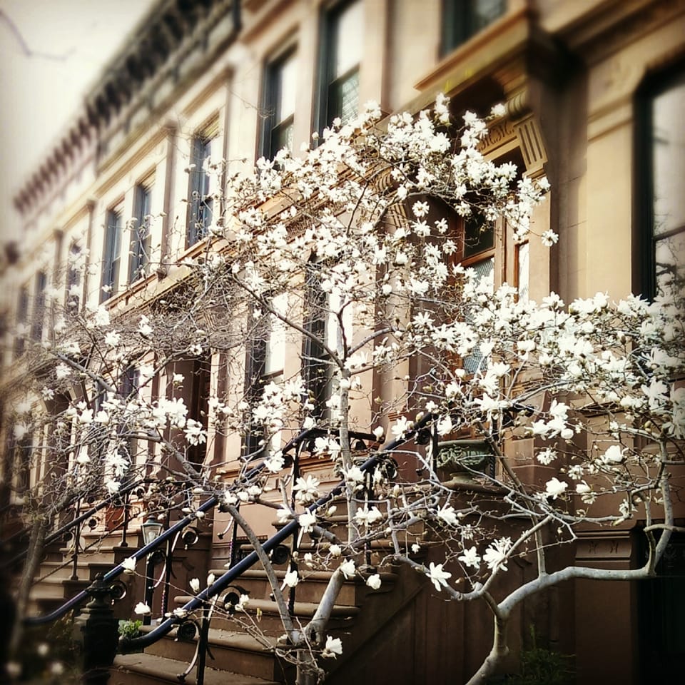 Photo Of The Day: Spring All Over