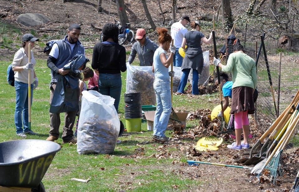 Cool Volunteering Gig: Prospect Park Cleanups