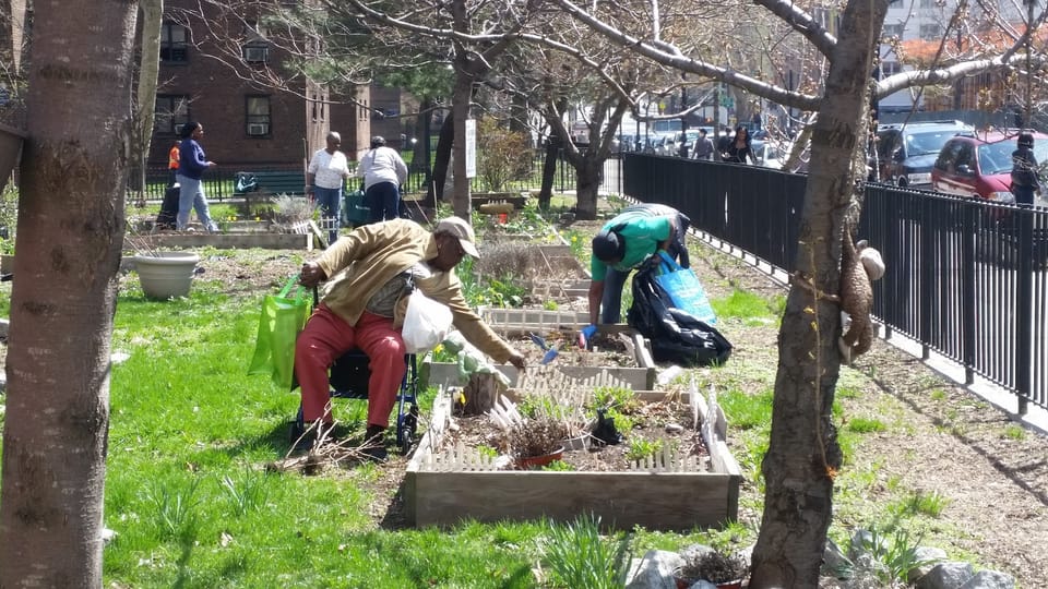 Apply For A Healthy Community Grant From The Brooklyn Community Foundation