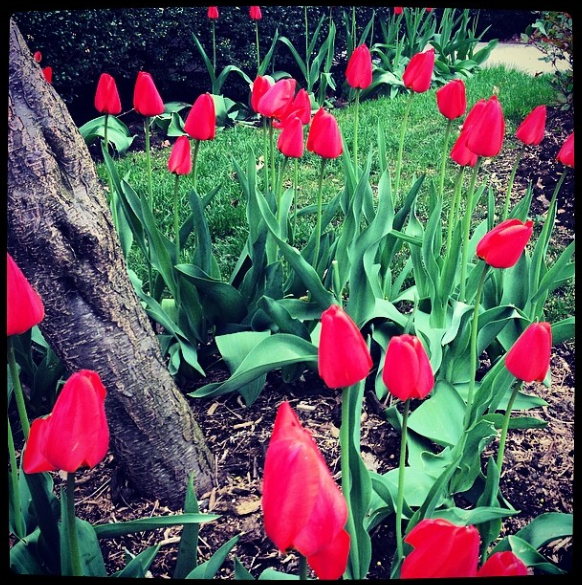 Happy Passover And Easter, Ditmas Park!