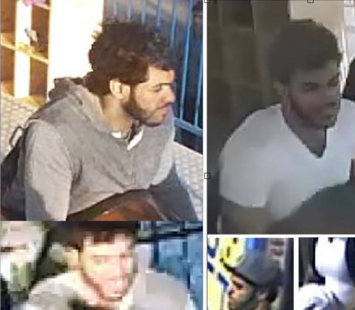 Purse Swiper Targets Roller Coaster Riders At Luna Park, Say Cops