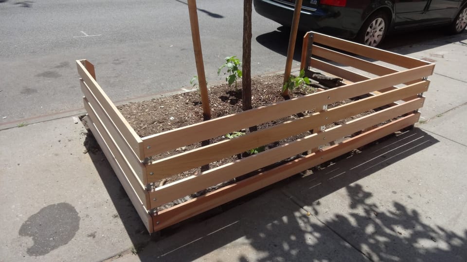 New Tree Guards And Greening At MS 443