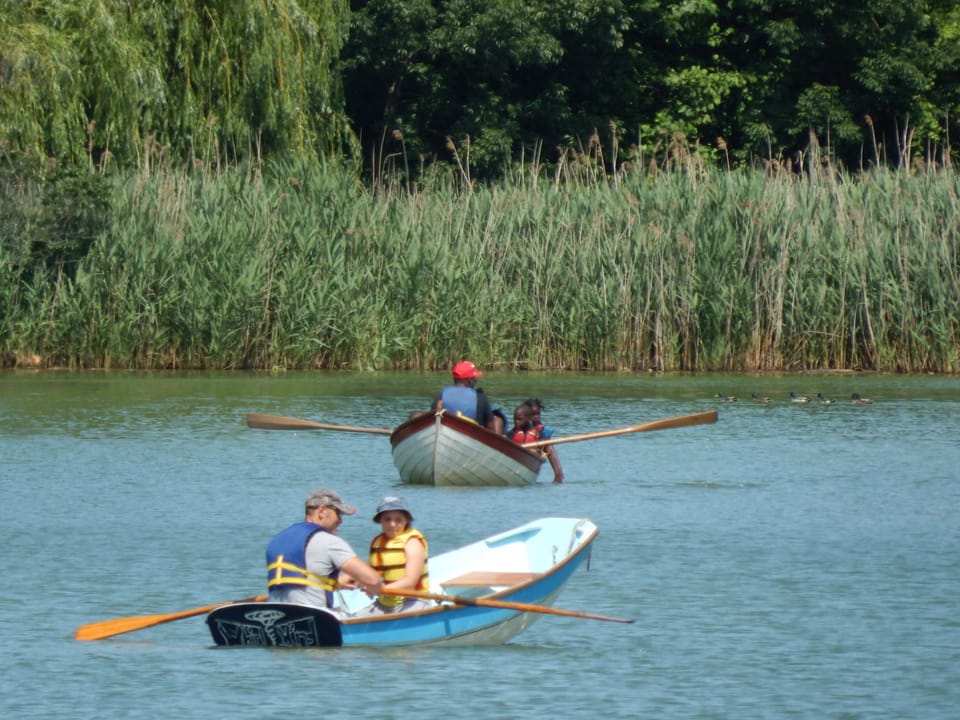 Enjoy Free Public Rowing In Prospect Park This Summer