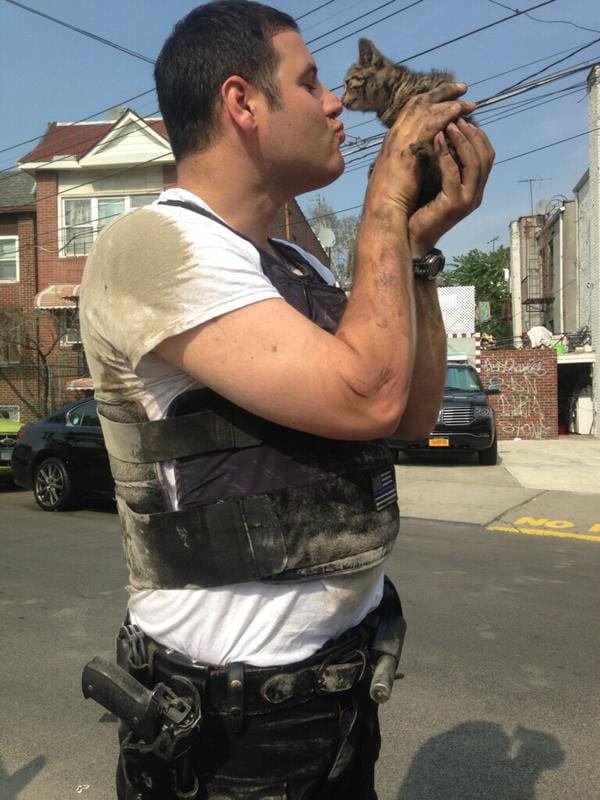 Local Cop Rescues Adorable Kitten In Brighton Beach, Gets It Adopted And Named In His Honor