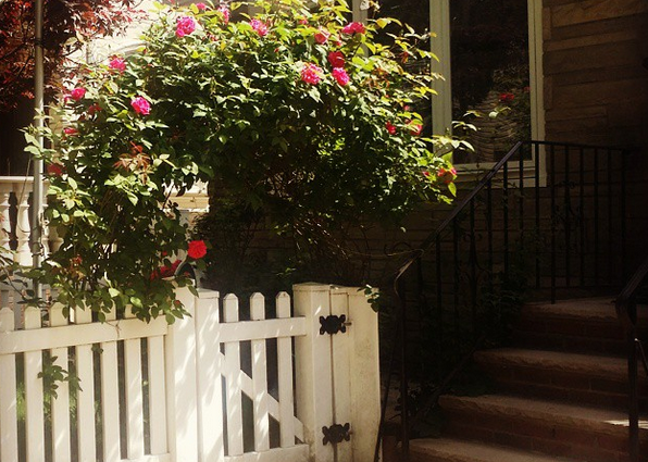 Photo Of The Day: White Picket Fence