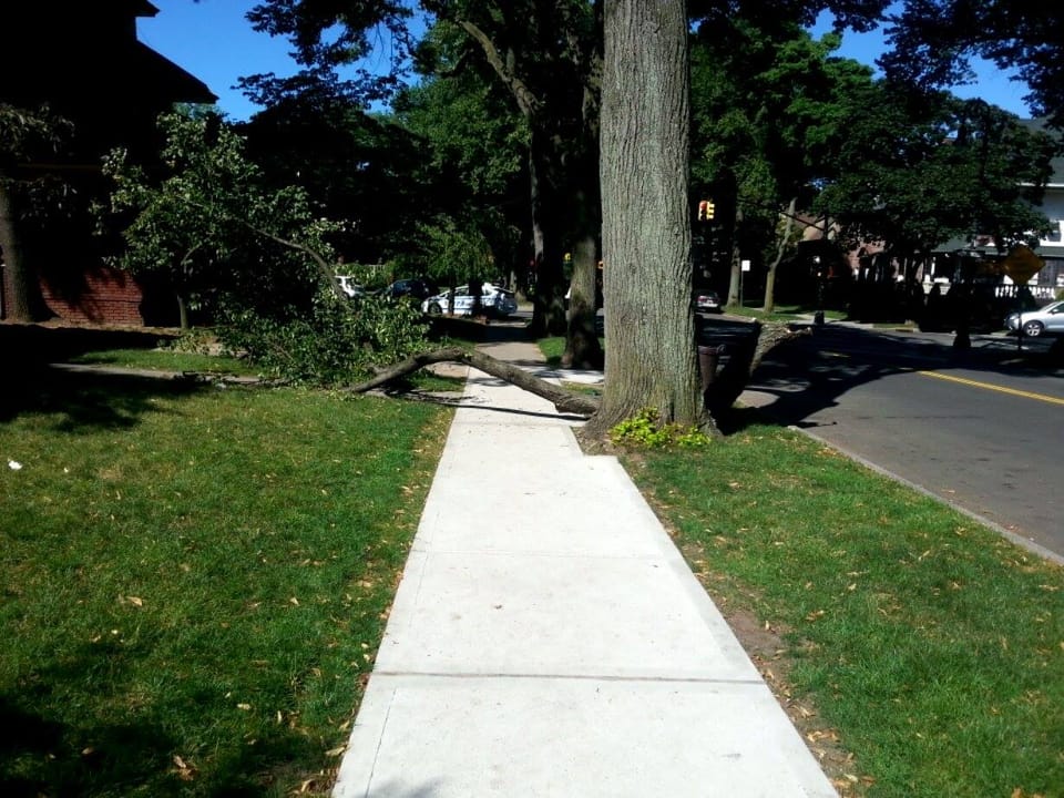 Caution: A Tree Is Down & Blocking The Sidewalk At Ditmas Avenue & E. 18th Street