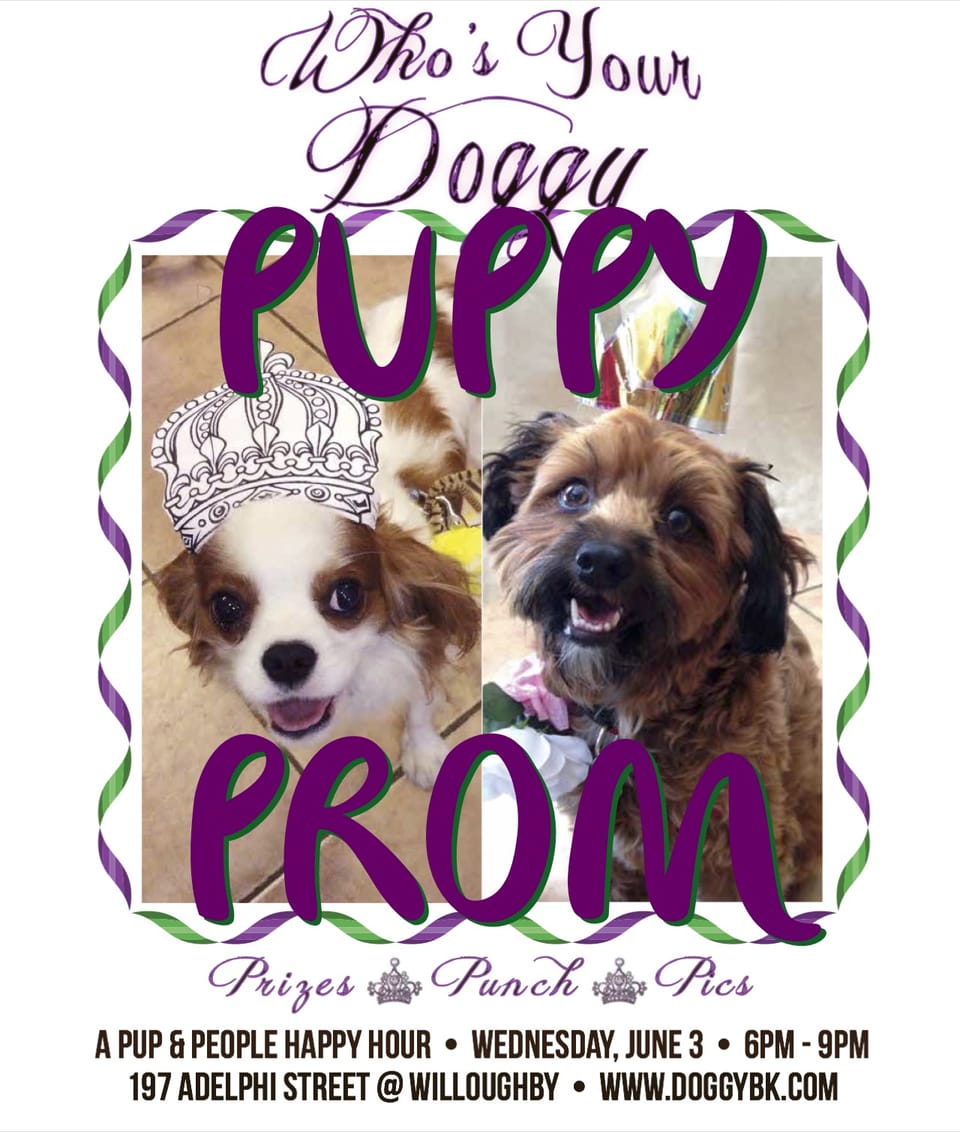 It’s [Puppy] Prom Season At Who’s Your Doggy