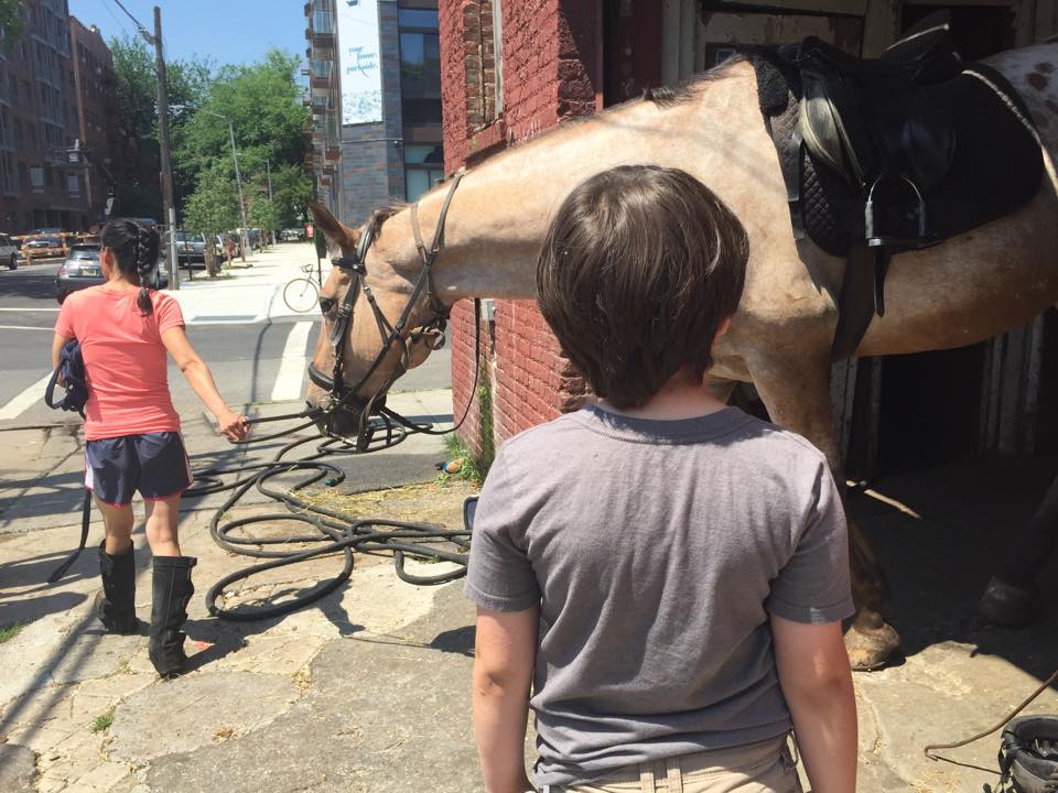 Tails & Trails: Horseback Riding For Kids In Brooklyn