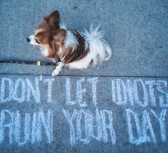 Photo Finish: “Don’t Let Idiots Ruin Your Day”