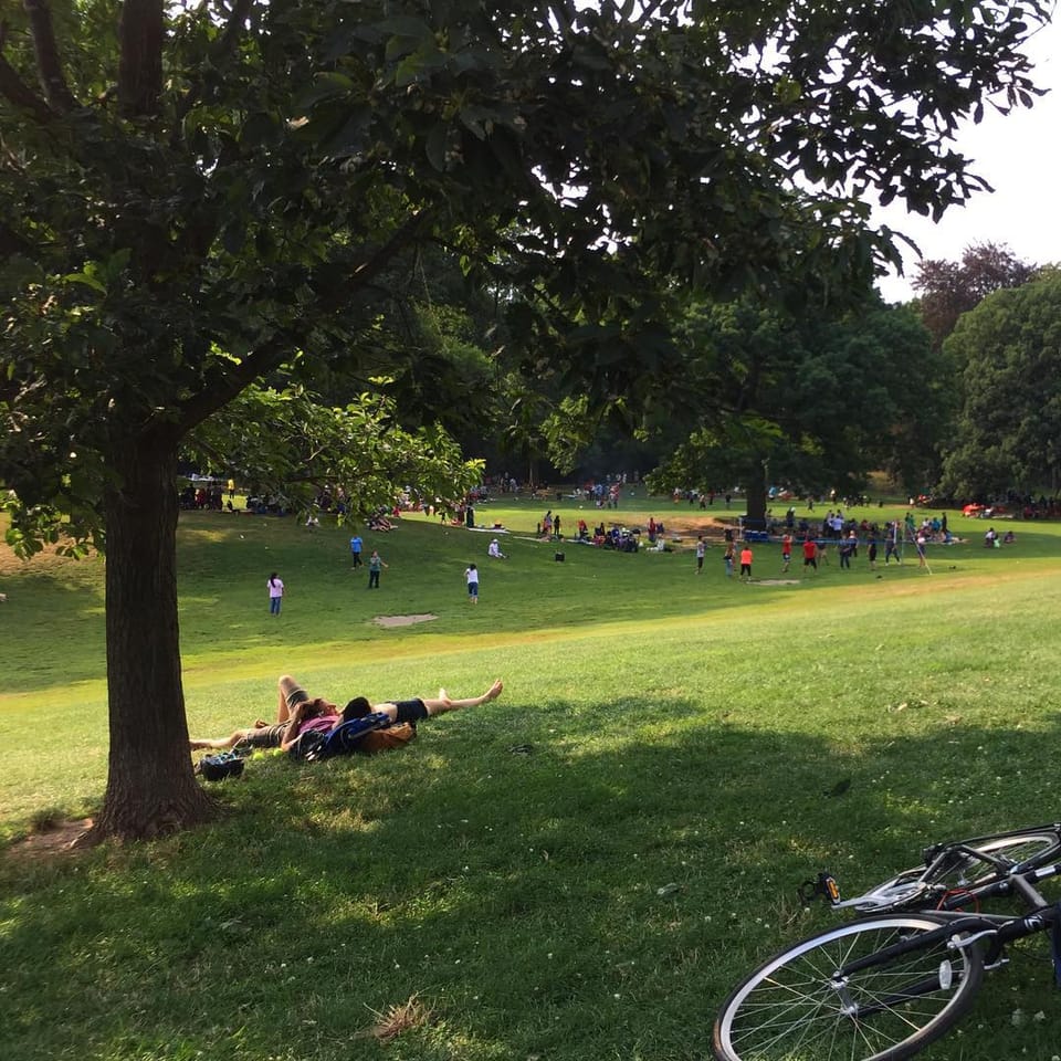 Photo Of The Day: Summer In The Park