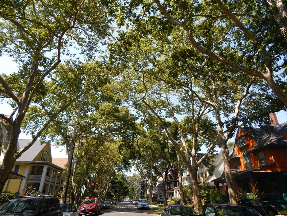 Brooklyn Staycation: A Day In Ditmas Park