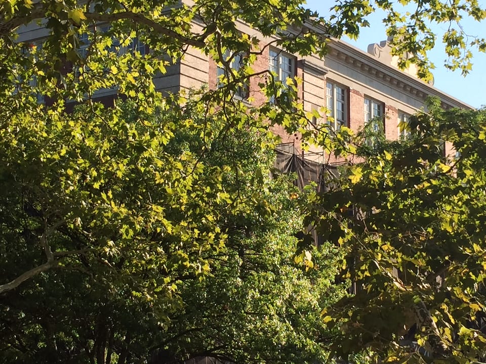 Scaffolding Coming Down At PS 139