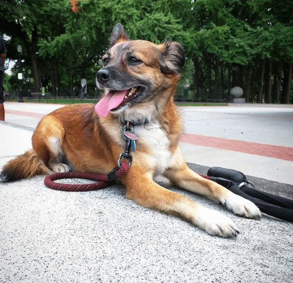 Photo Finish: Chilling In The Sun