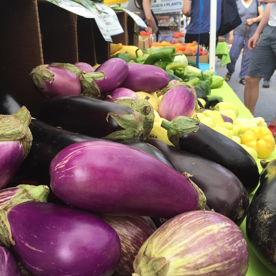 Photo Of The Day: Eggplants