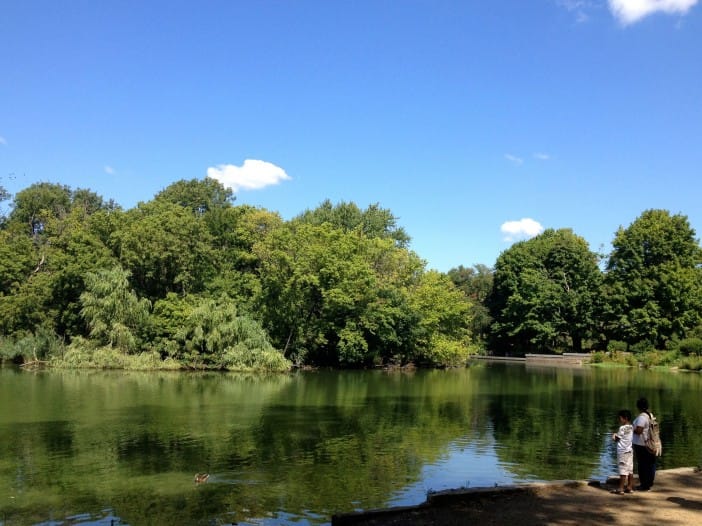 Warning: Prospect Park Lake Has High Levels Of Blue-Green Algae; Toxins Can Be Dangerous For Animals & Humans