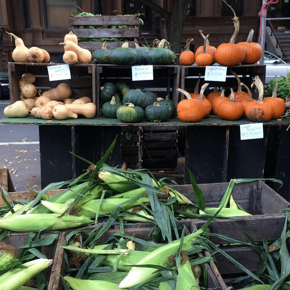 Photo Finish: Autumn Is In Season