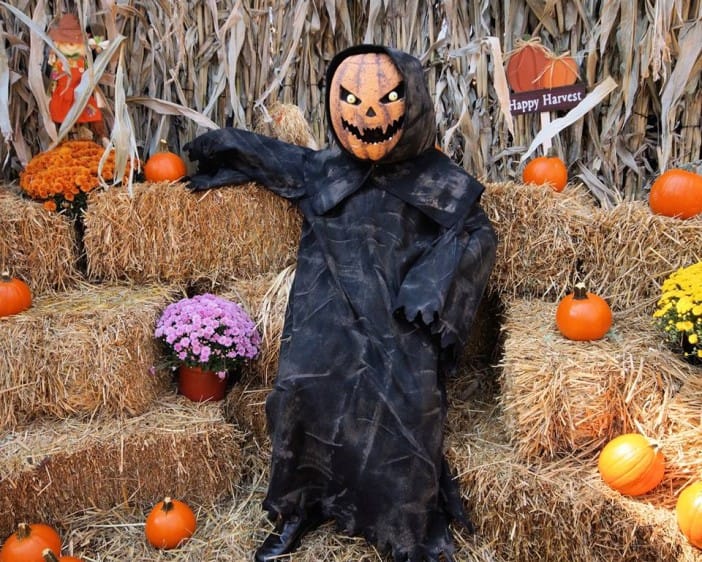 Things For Kids To Do In Southern Brooklyn: Halloween Harvest, Zipper Bracelets & More