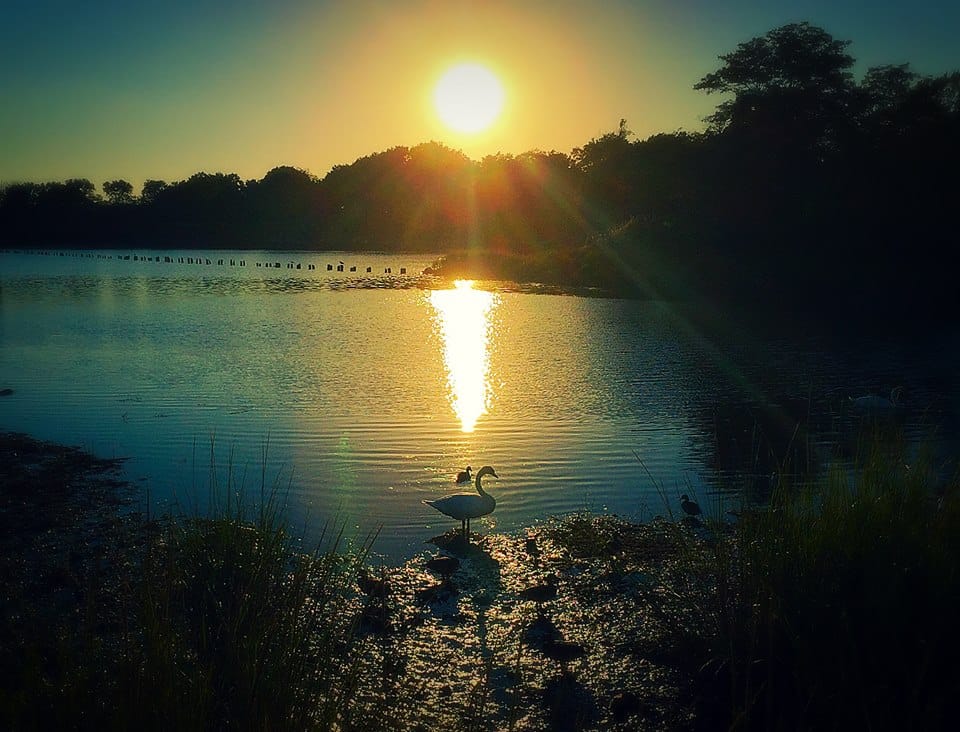 Help Wanted: Volunteer For A Cleanup Crew At Marine Park