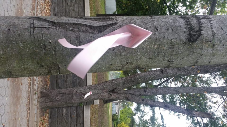 Photo Finish: Tie A Pink Ribbon Around The Old Sidewalk Tree