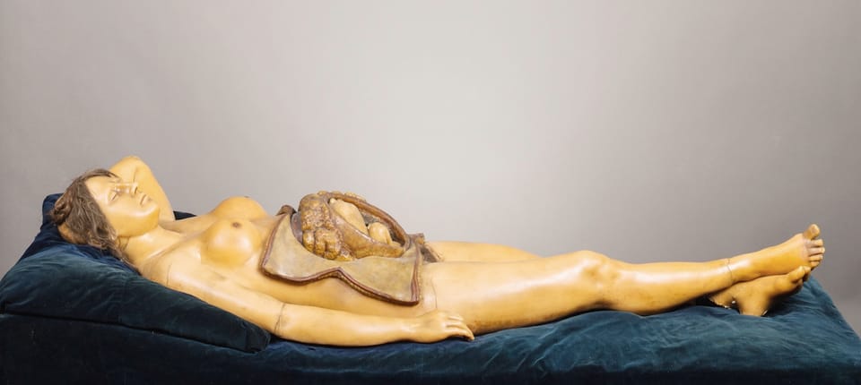 Cabinets Of Curiosity: ‘House Of Wax’ At The Morbid Anatomy Museum