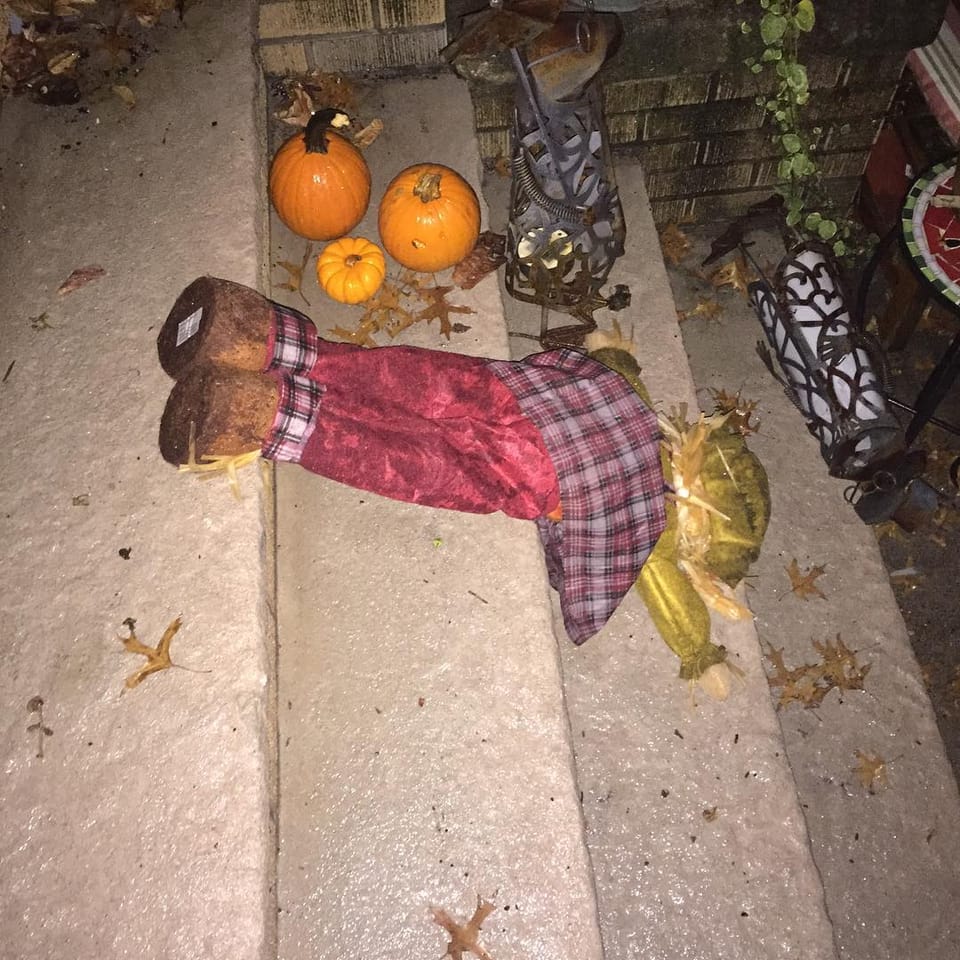 Photo Of The Day: Scarecrow Down