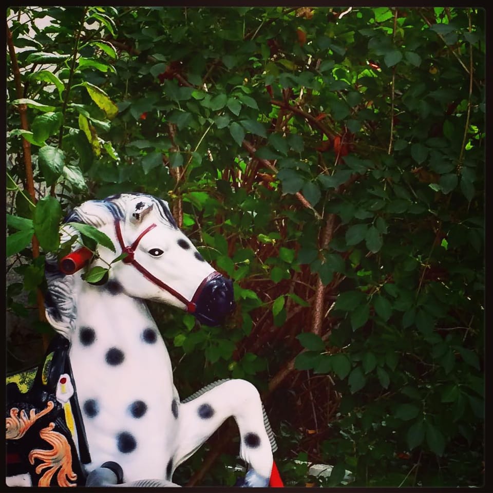 Photo Of The Day: Toy Horse