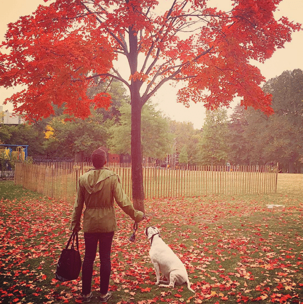 Photo Finish: The Perfect Tree