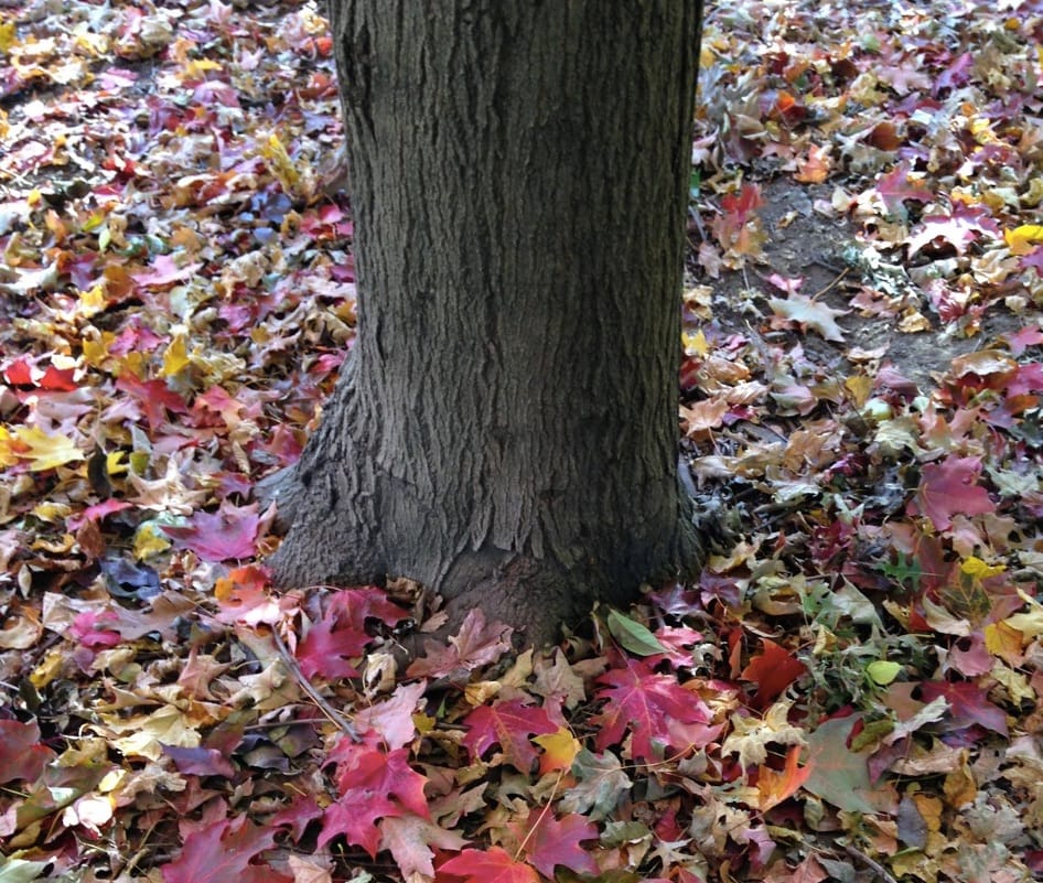 Photo Of The Day: Don’t Forget To Look Down