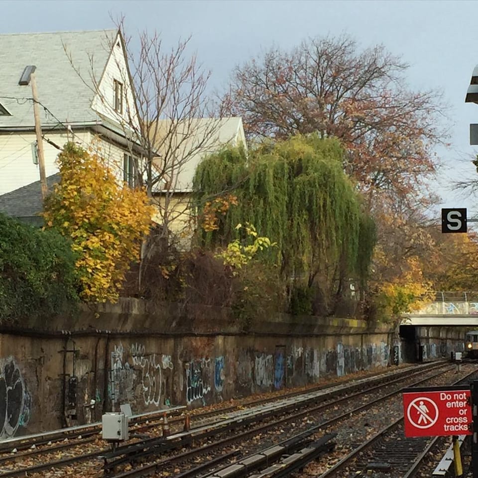 Photo Of The Day: Train Tracks