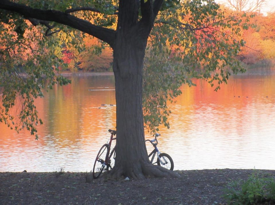 Photo Of The Day: Lakeside