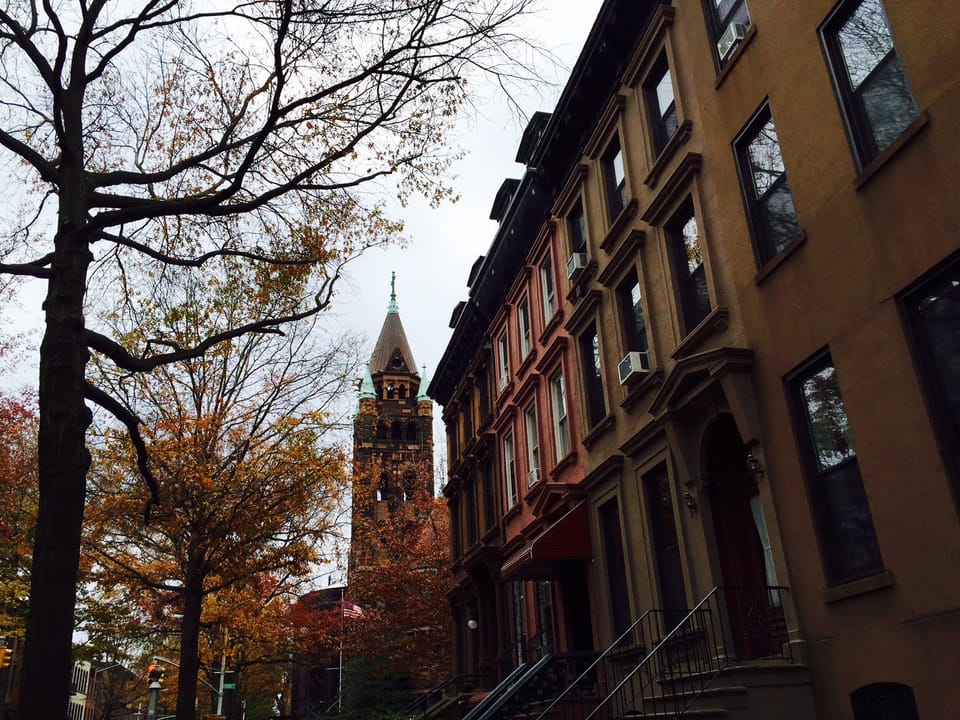 This Week In Park Slope: Dirty Thief, Barclays Gun Drills, 1900s Cats