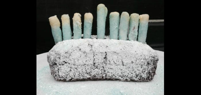 Have Fun In The Kitchen With Our No-Bake Menorah Cake