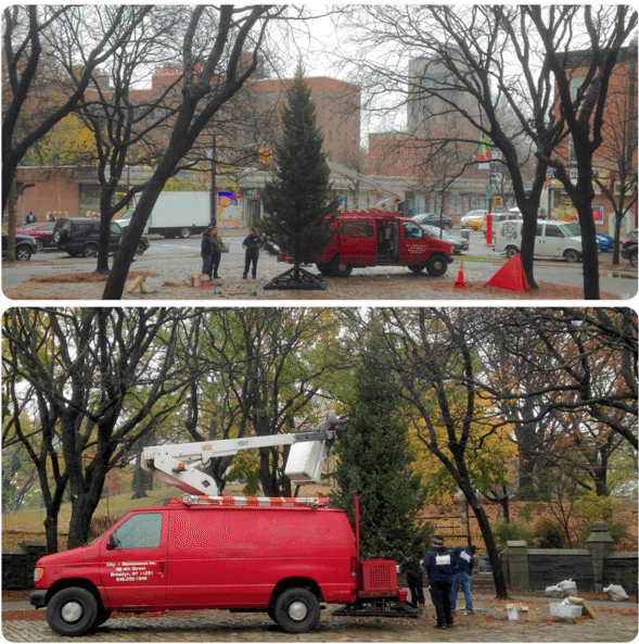 Photo Finish: A Holiday Tree Goes Up In Fort Greene Park